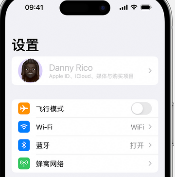 兰溪appleID维修服务iPhone设置中Apple ID显示为灰色无法使用 