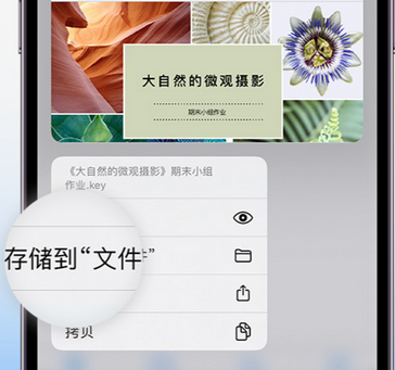 兰溪apple维修中心分享iPhone文件应用中存储和找到下载文件