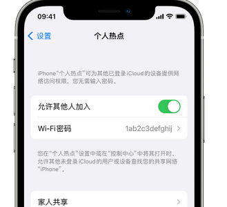 兰溪apple服务站点分享iPhone上个人热点丢失了怎么办