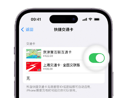 兰溪apple维修点分享iPhone上更换Apple Pay快捷交通卡手绘卡面 