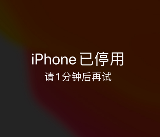 兰溪苹果手机维修分享:iPhone 显示“不可用”或“已停用”怎么办？还能保留数据吗？ 