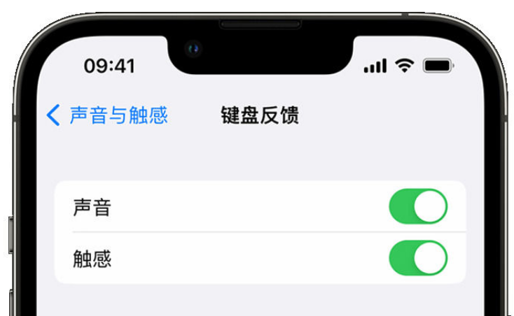 兰溪苹果手机维修分享iPhone 14触感键盘使用方法 