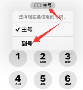 兰溪苹果14维修店分享iPhone 14 Pro Max使用副卡打电话的方法 