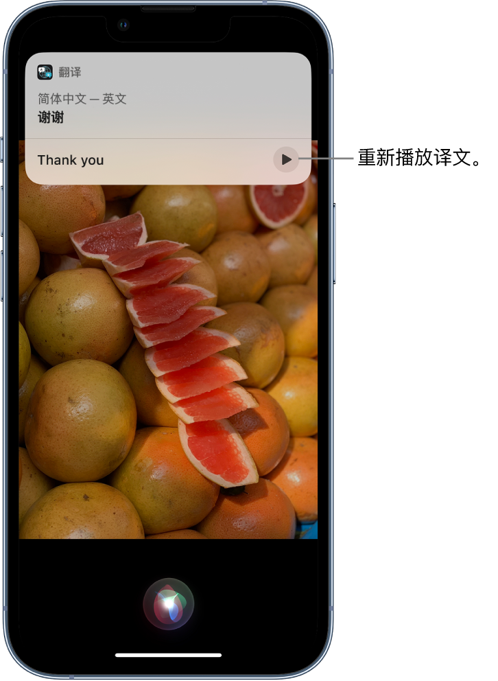 兰溪苹果14维修分享 iPhone 14 机型中使用 Siri：了解 Siri 能帮你做什么 