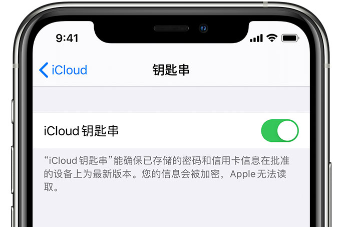 兰溪苹果手机维修分享在 iPhone 上开启 iCloud 钥匙串之后会储存哪些信息 
