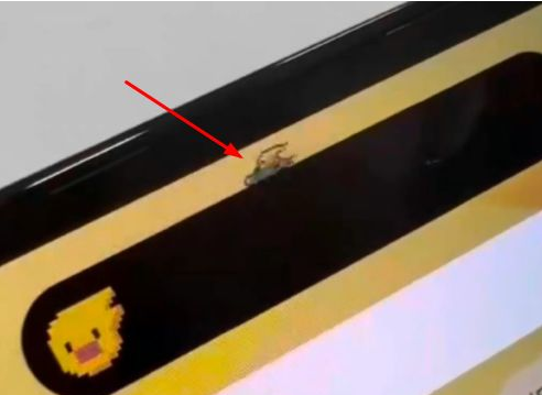 兰溪苹果14维修分享iPhone 14 Pro Max灵动岛怎么养宠物 