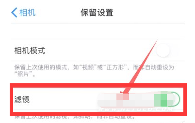 兰溪苹果13维修分享iPhone13拍照有绿点是怎么回事 
