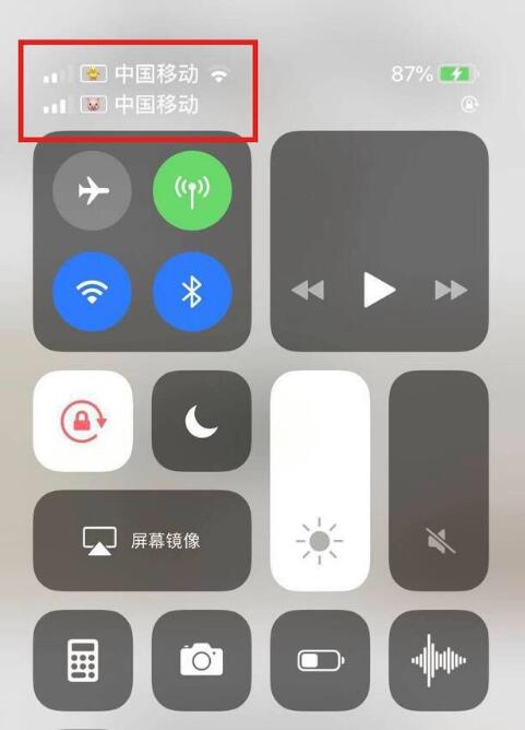 兰溪苹果手机维修分享为 iPhone 12 双卡设置标签 