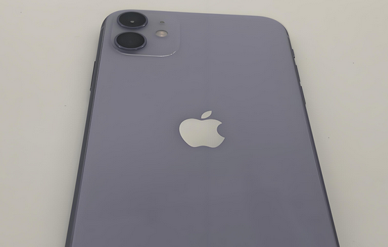 兰溪苹果11系统维修分享iPhone11手机系统崩溃无法开机如何解决